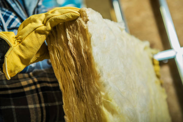 Best Insulation Maintenance and Repair in Rising Sun, MD