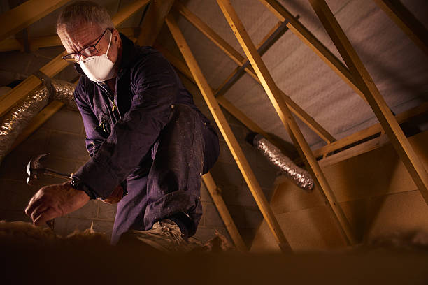 Best Insulation Installation Services in Rising Sun, MD
